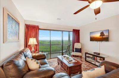 316 Sea Marsh